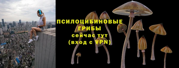 бутират Верея