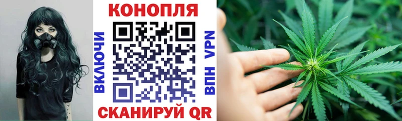 Шишки марихуана OG Kush  Якутск 